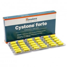 Цистон форте (Cystone forte), 60 таб.