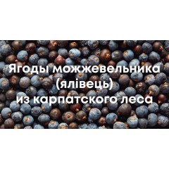 5 способів використання ягід ялівцю, про які ви могли не знати